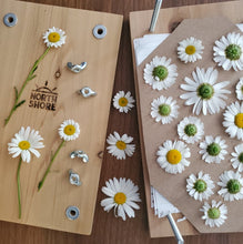 Cedarwood Botanical Press