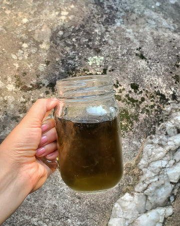 MOON RIVER // wildcrafted herbal tea